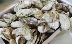 伊人综合在合线